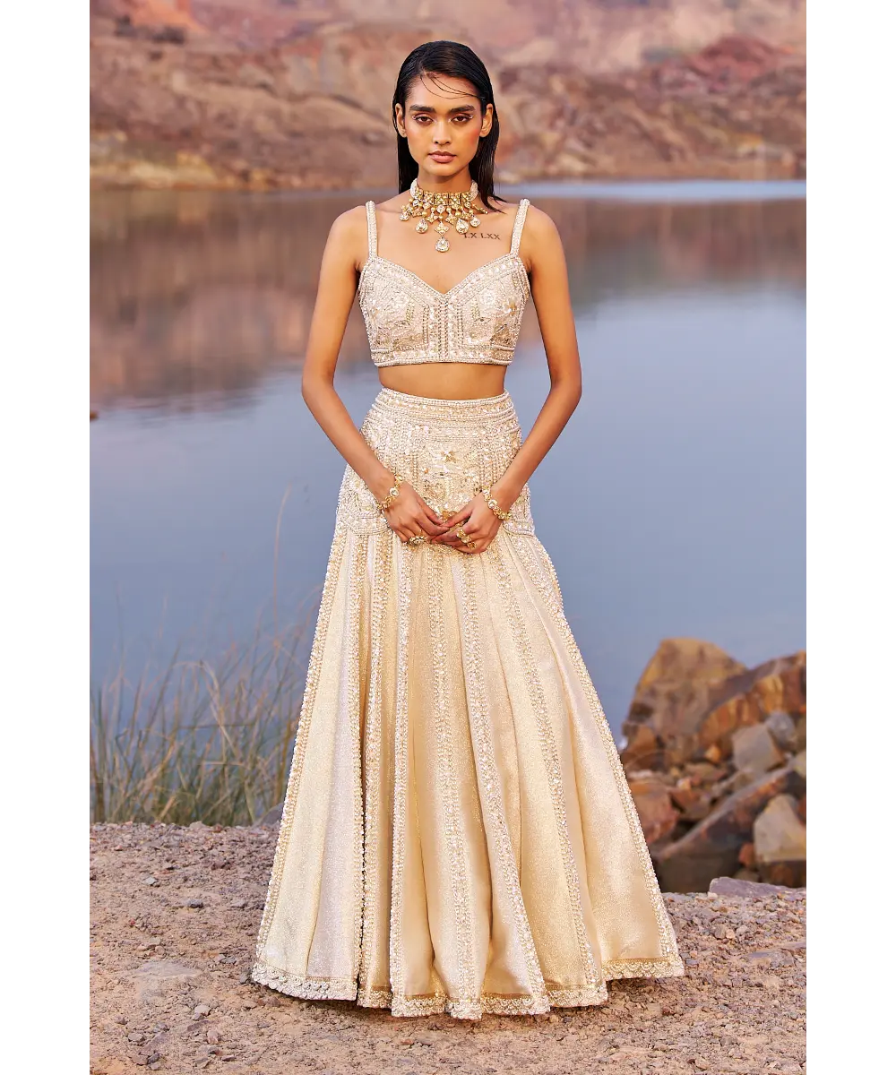 NIDHIKA SHEKHAR- Jalsaa E Firdose Lehenga Set
